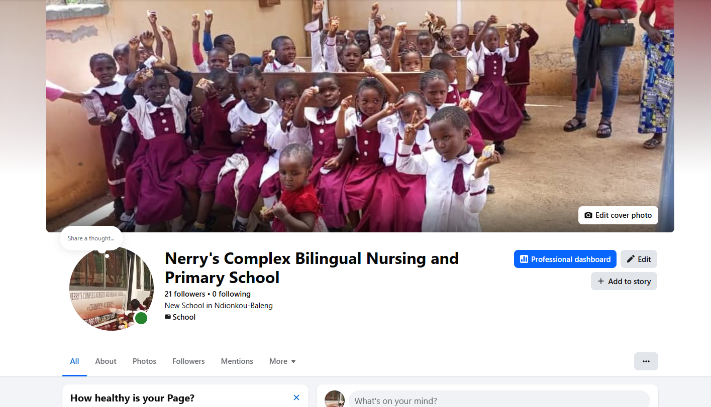 Home Nerry's Complex Bilingual Nursery and Primary School Facebook Page